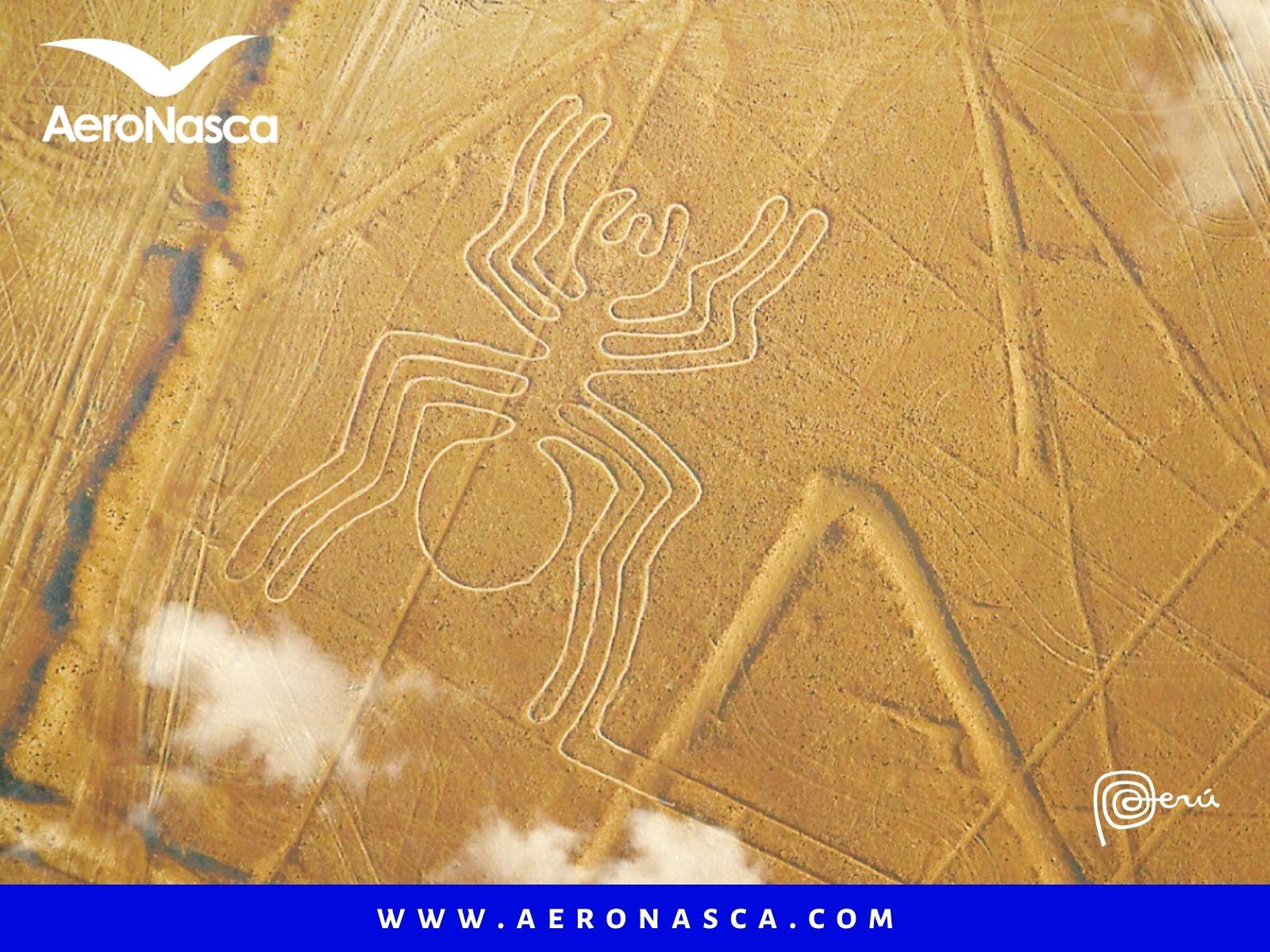 Vuelo a las Lineas de Nazca Araña